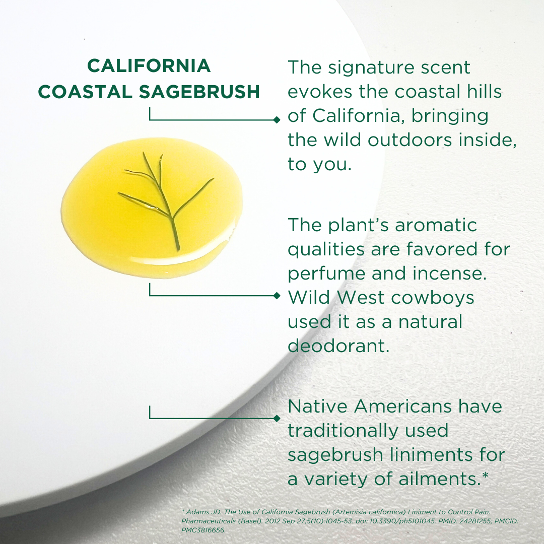 PROTECT | Oil for Skin - PROTECT | Oil for Skin